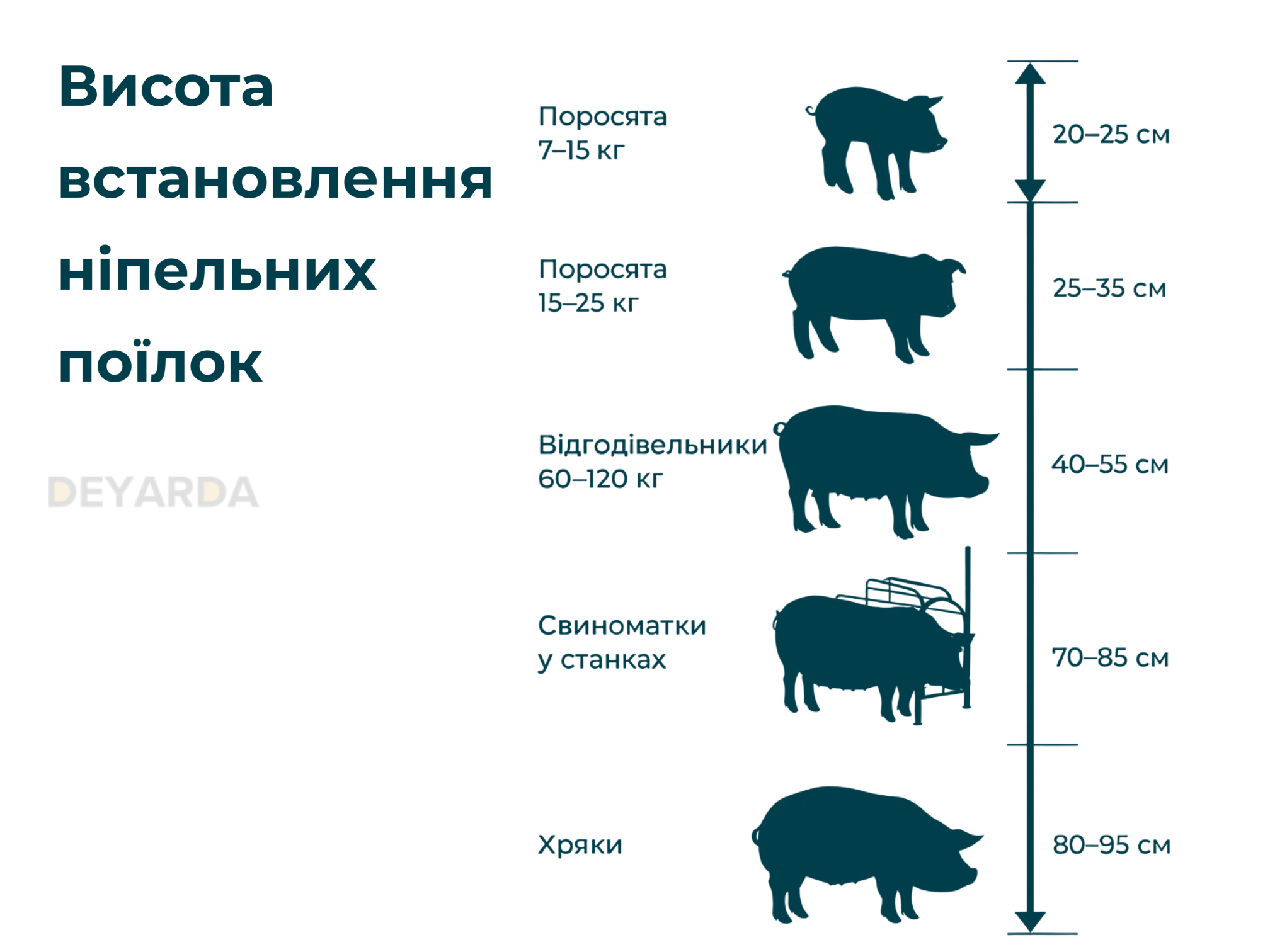 Ніпельні поїлки для свиней: принцип роботи, переваги, типи та рекомендації щодо встановлення
