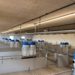 IP65, IP67 чи IP69K: який ступінь захисту потрібен для три-захищених LED світильників