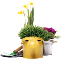different-gardening-stuff-removebg-preview 1